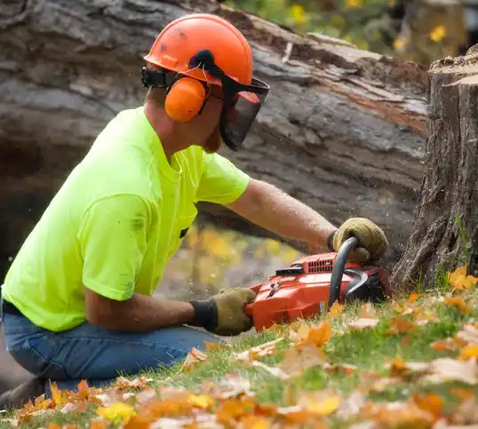 tree services Clancy